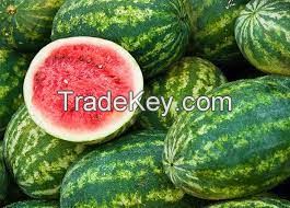 freshnwater melons