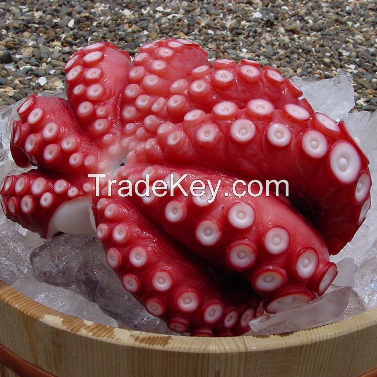 Whole part wholesale fresh frozen unboiled octopus