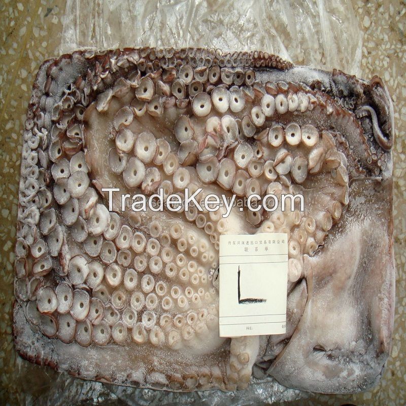 Whole part wholesale fresh frozen unboiled octopus