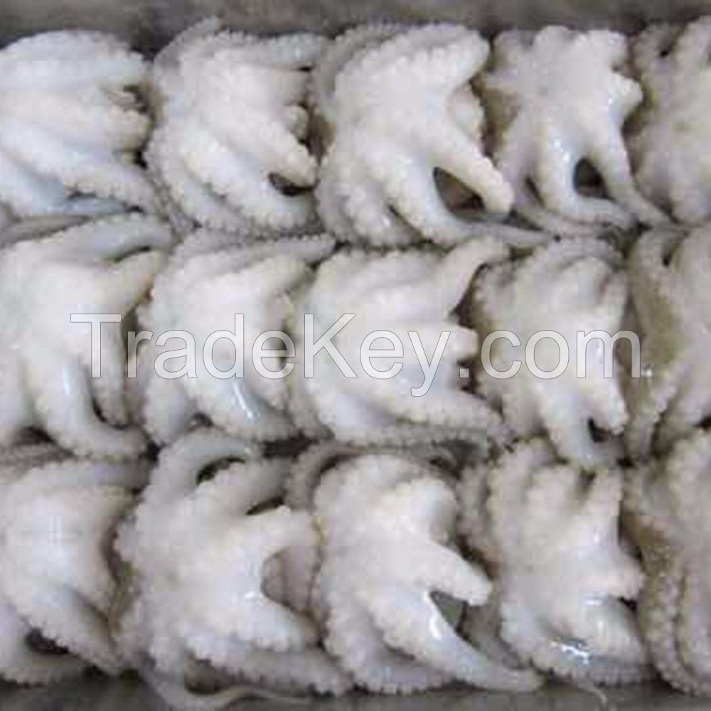 Whole part wholesale fresh frozen unboiled octopus