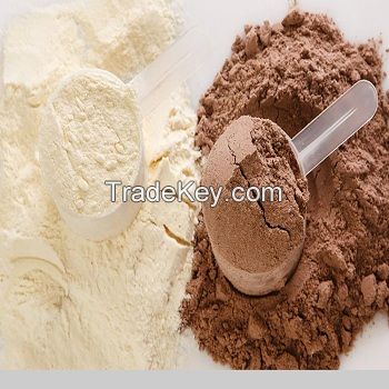 Whey Protein 100% Gold Standard plastic shaker Protein supplement