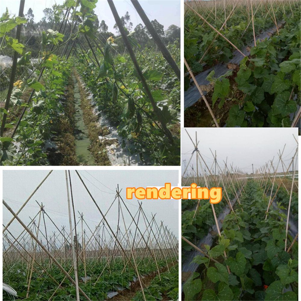 100 Meter Plant Climbing Support Net Plastics Nylon Trellis Grow Pea C