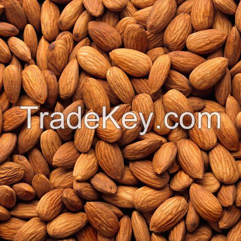 Almond Nuts