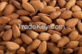 Almond Nuts