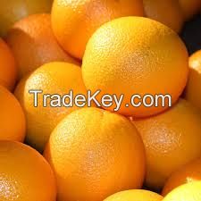 Fresh Oranges