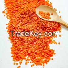 Red Lentil