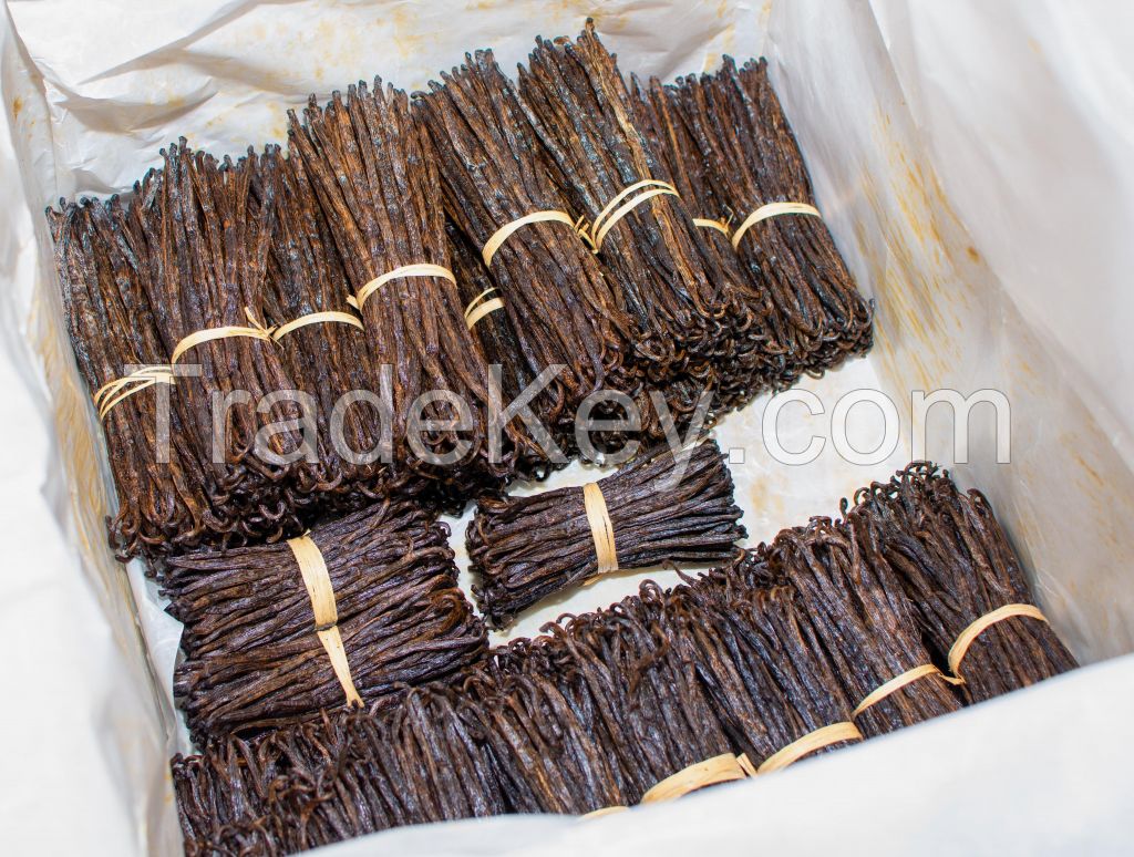 vanilla beans of madagascar 