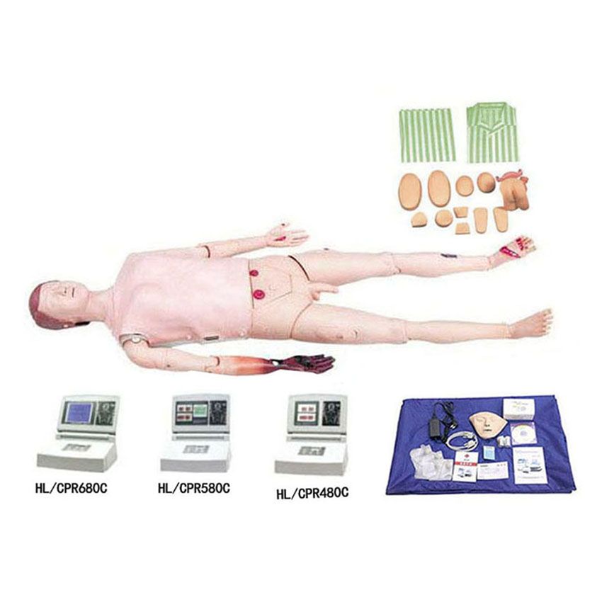 Multi-function Nursing & CPR Model
