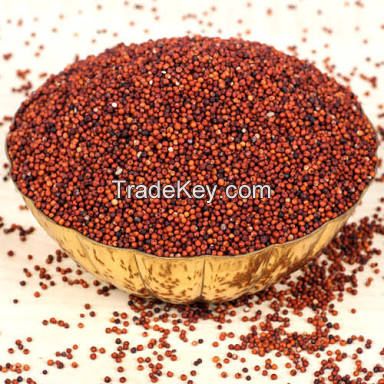 Red finger Millet