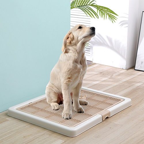 Smart Paws Indoor Pet Training Toilet Dog Training Tray