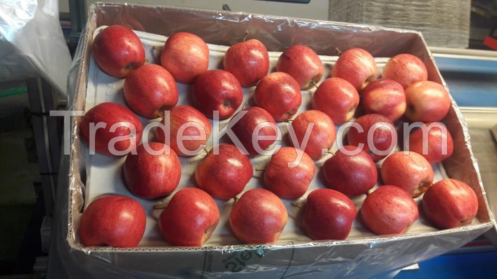 Royal Gala Apples For Sale 