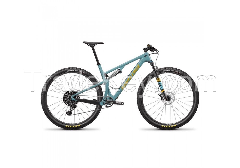 2020 Santa Cruz Blur Carbon C R 29" Mountain Bike (WORLD RACYCLES)