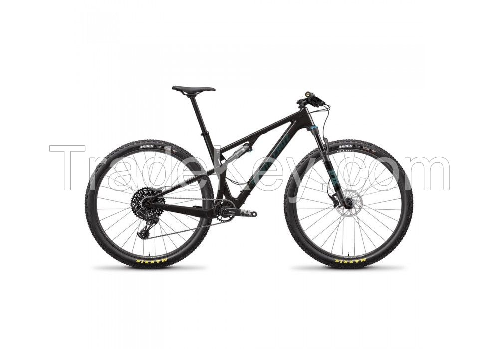 2020 Santa Cruz Blur Carbon C R 29" Mountain Bike (WORLD RACYCLES)