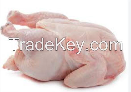 Halal Frozen Whole Chicken