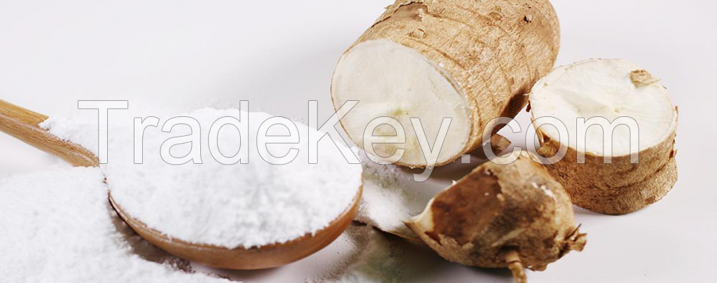 tapioca starch, cassava starch