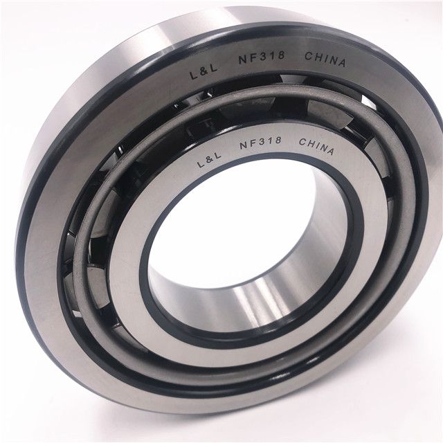 Cylindrical Roller Bearing NU2204E with High Load