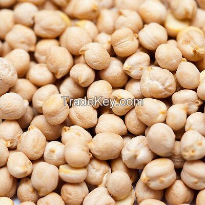 KABULI CHICKPEAS | CHICKPEAS