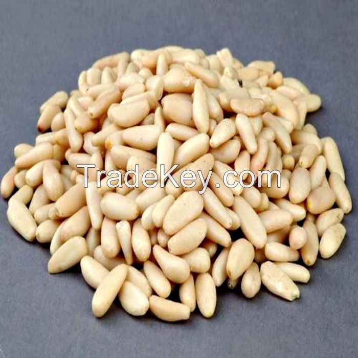 Quality Pine Nut Kernels for sale