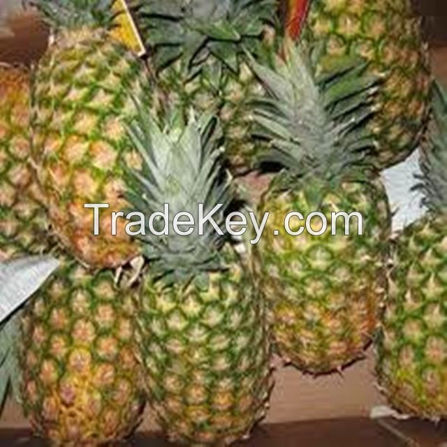 FRESH PINEAPPLE