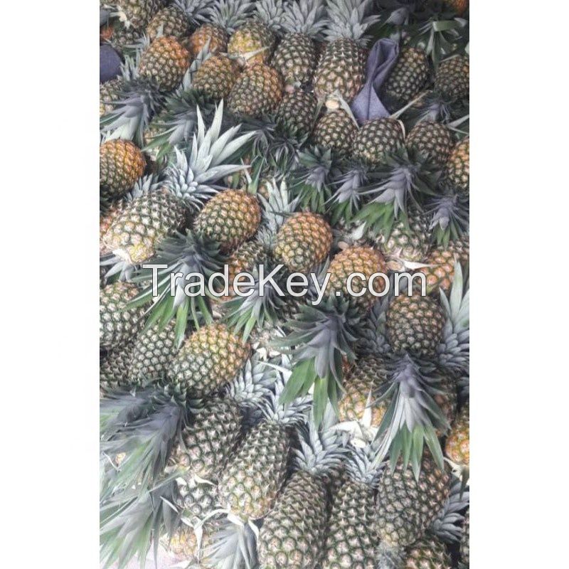 FRESH PINEAPPLE