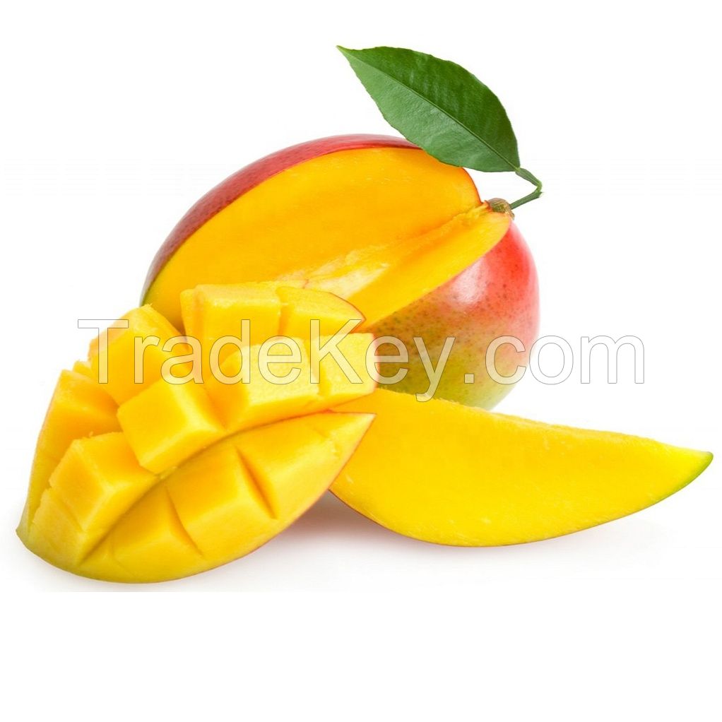 High Quality Mango 100% Fresh Mango