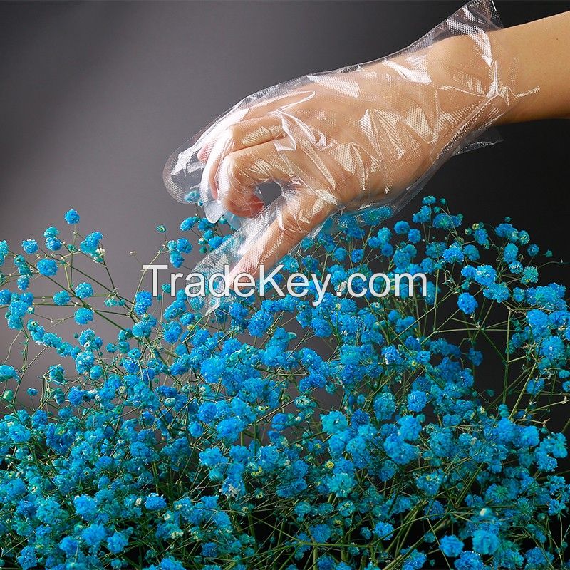 disposable poly plastic pe glove hdpe glove factory