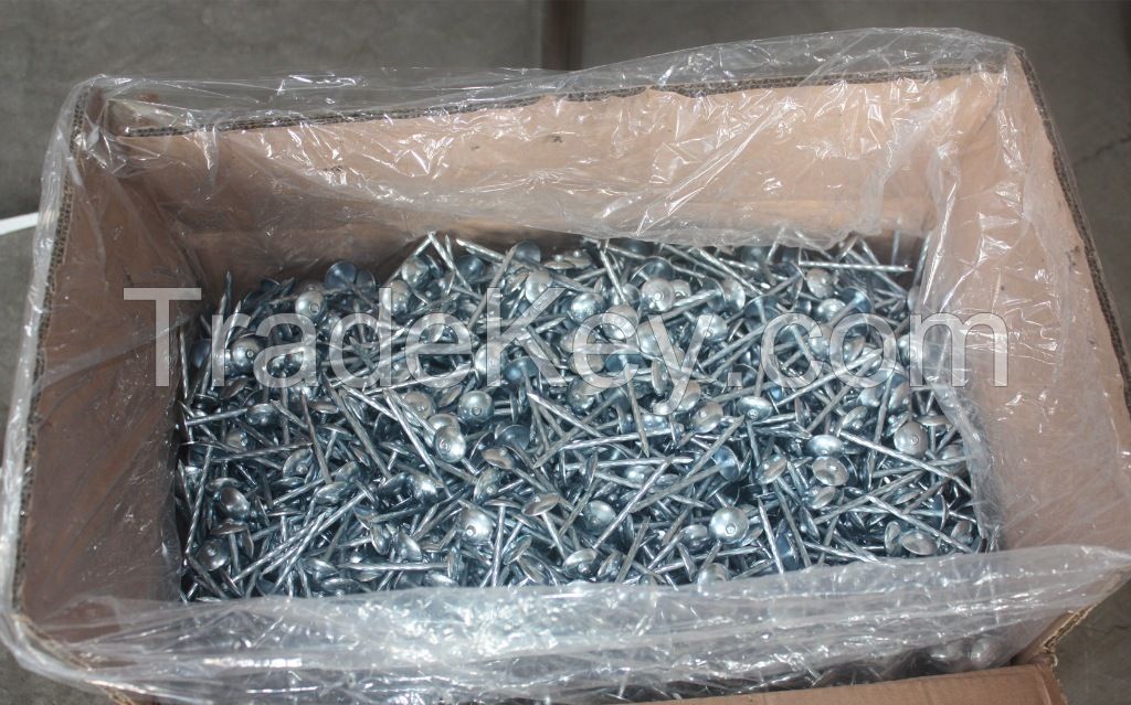 Galvanized Roofing Nails with Umbrella Head