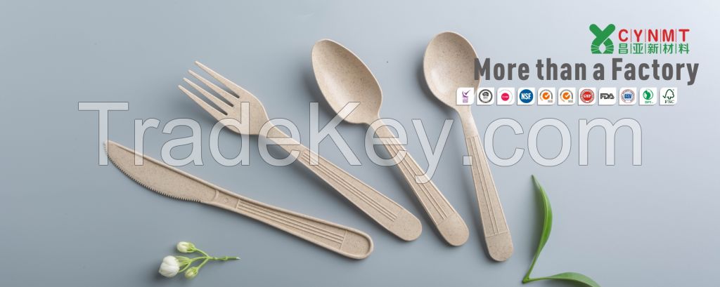 Plastic Cutlery