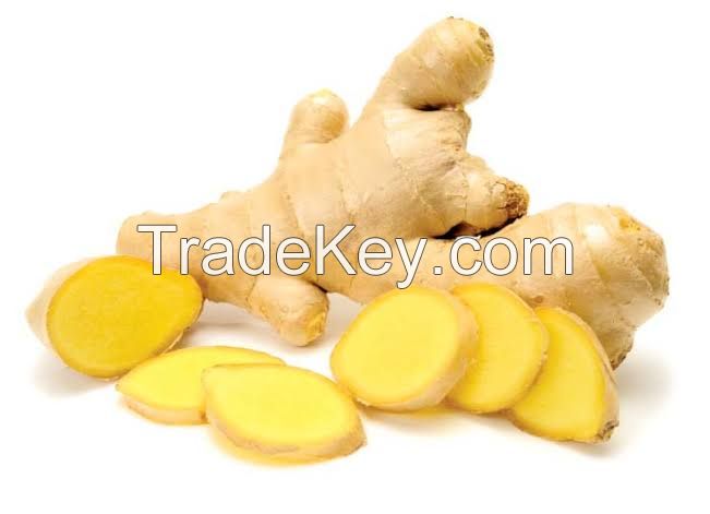 Ginger (Zingiber officinale)