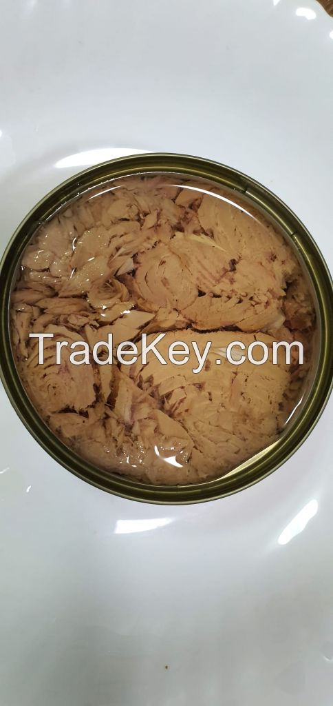 Export of Albacore Canned tuna fish F