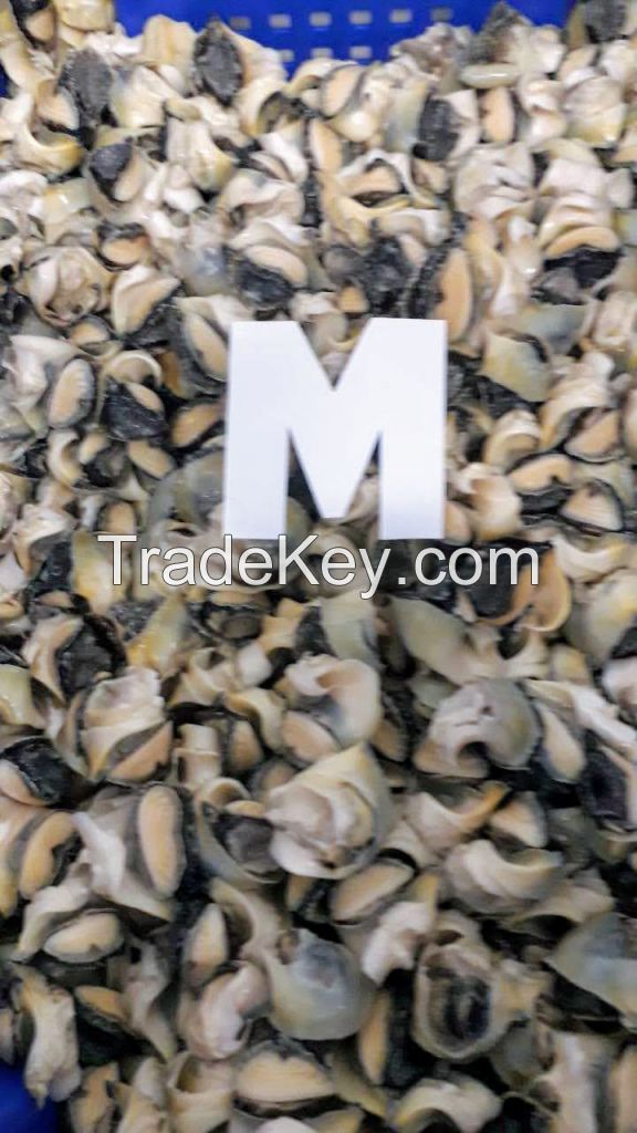 Black sea top shell meat