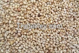 Arabica green coffee beans, oil seeds & sesam seeds