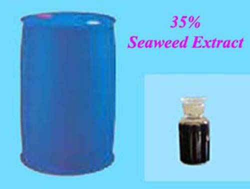 35% Seaweed Extract