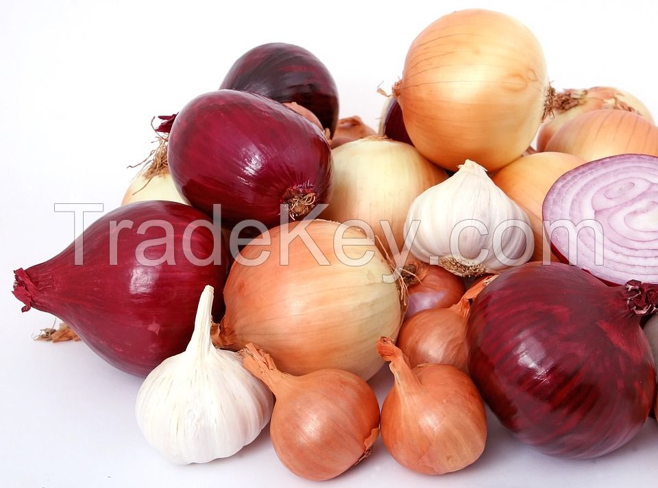 Iranian Onion