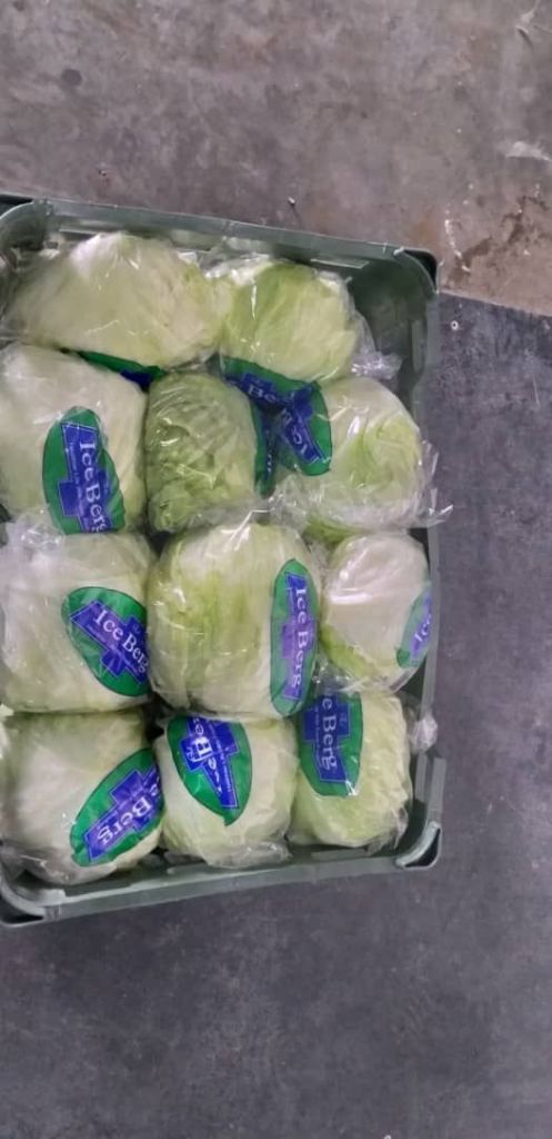 cheap Iceberg lettuce