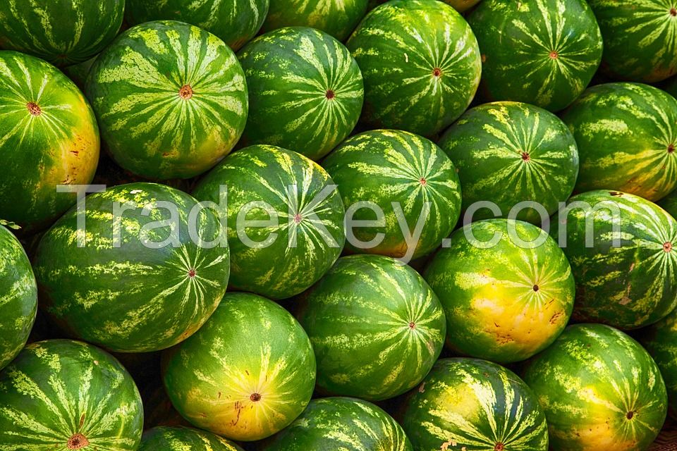 Fresh Watermelon