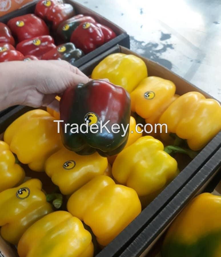 Sweet Pepper , Bell Pepper