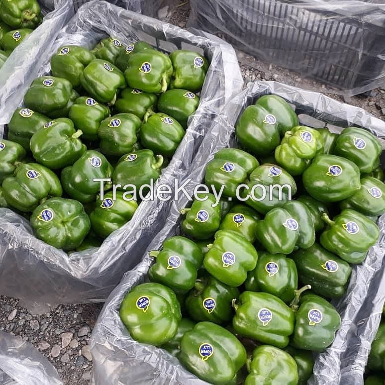 Greenhouse Capsicum