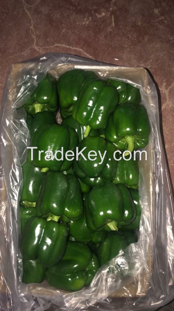 Greenhouse Capsicum