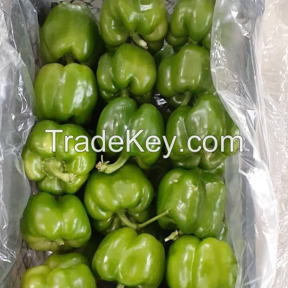 Greenhouse Capsicum