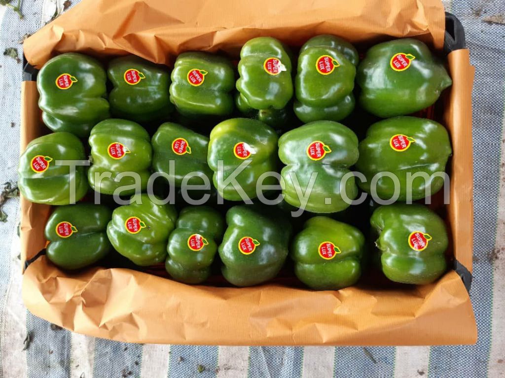 Green Capsicum