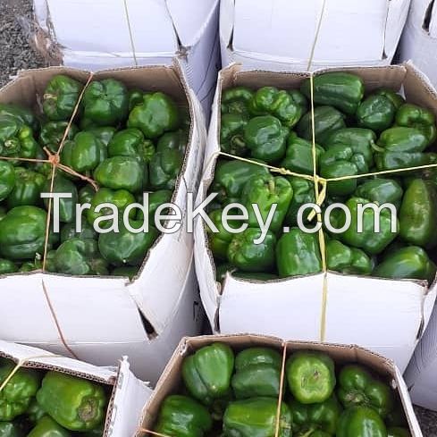 Green Capsicum