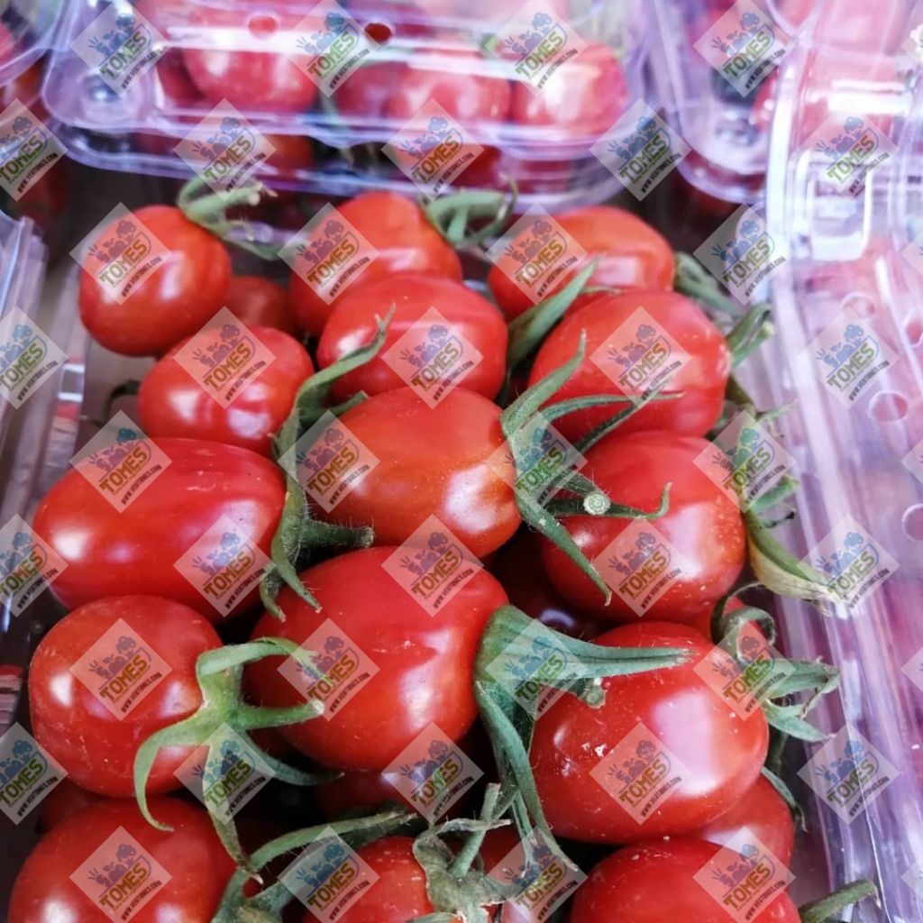 Fresh Cherry Tomato