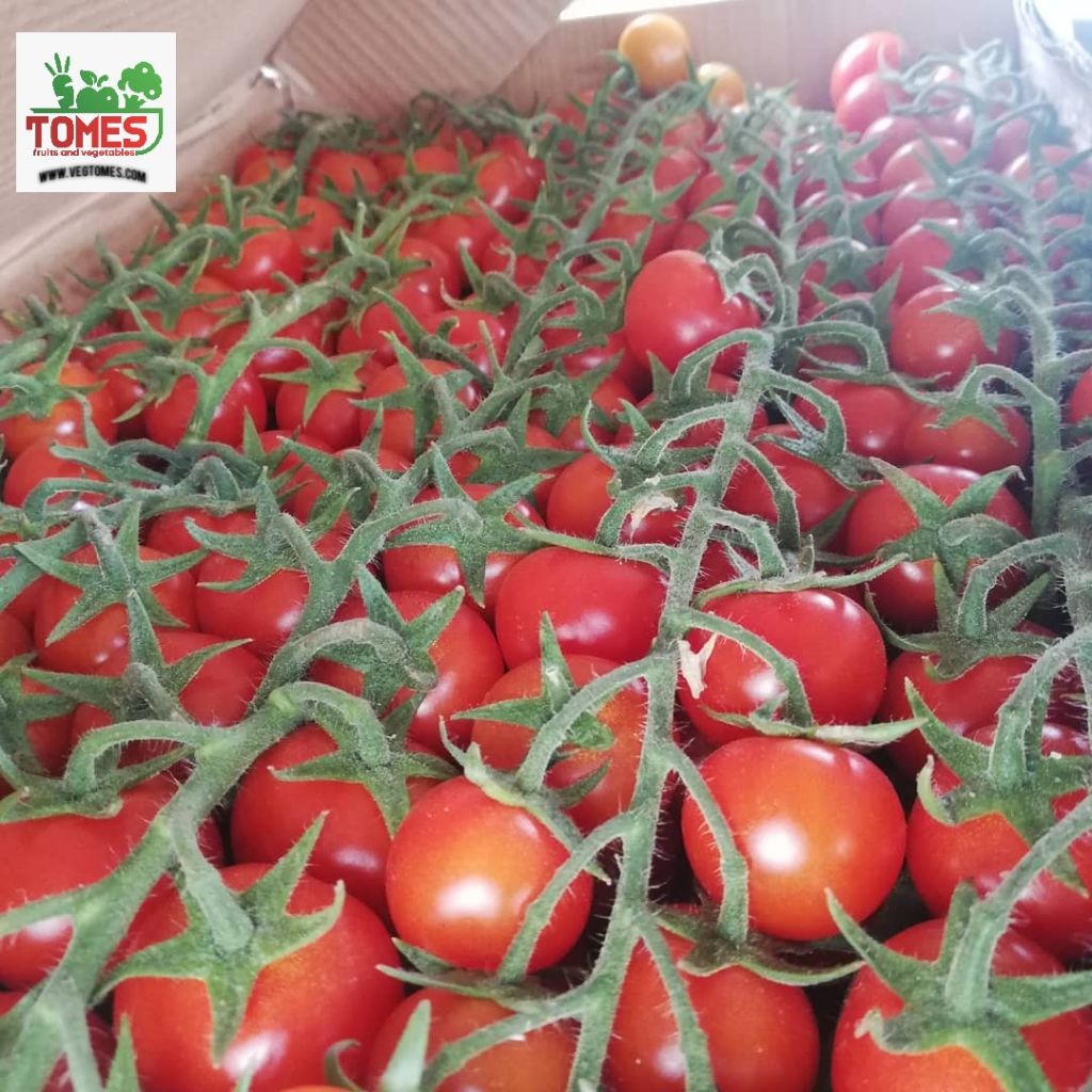 Fresh Cherry Tomato