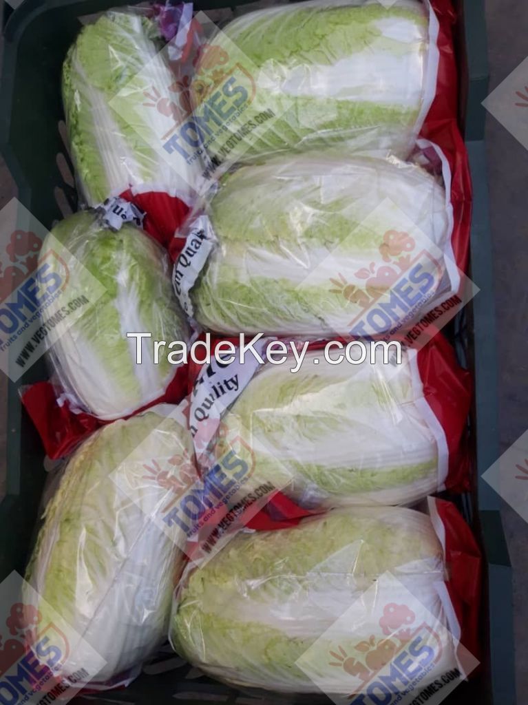 Wholesale fresh potato Iranian supplier lettuce