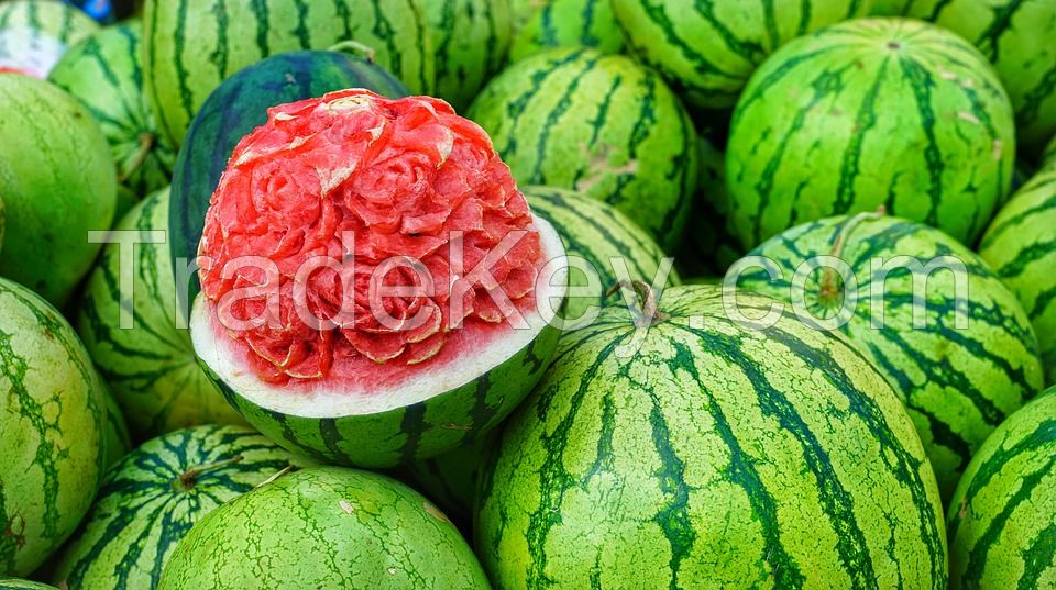 Wholesale fresh potato Iranian supplier Watermelon