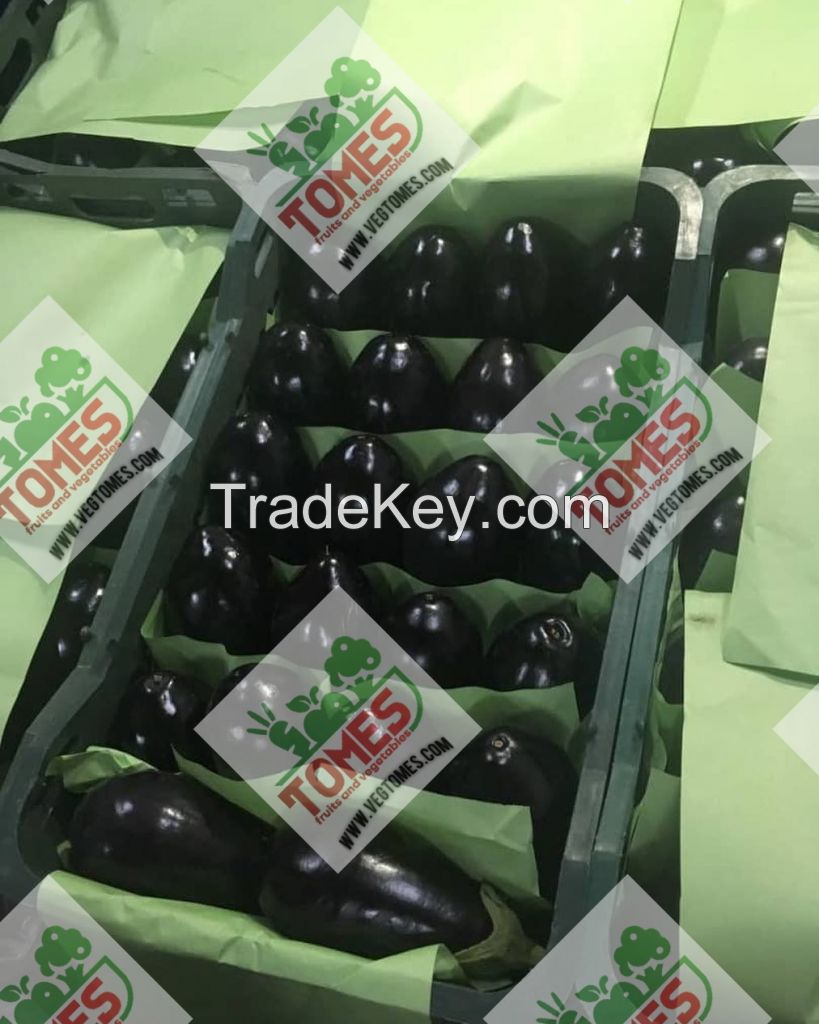 Wholesale fresh potato Iranian supplier Eggplant