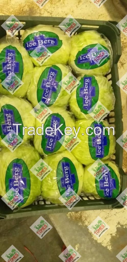 Wholesale fresh potato Iranian supplier lettuce