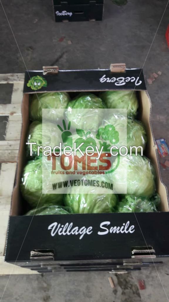 Wholesale fresh potato Iranian supplier lettuce