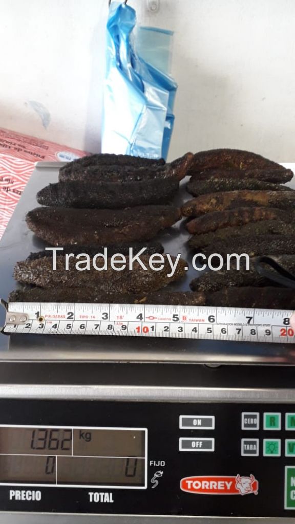 Dried and Cooked 45 min then Frozen Sea Cucumber PEPINO ARENERO 